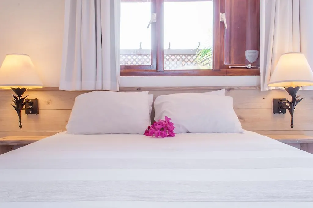 Lägenhet Aruba Palms Escape Suites Aruba
